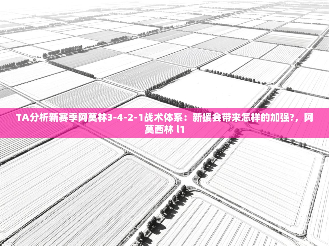 海星体育官网-TA分析新赛季阿莫林3-4-2-1战术体系：新援会带来怎样的加强?，阿莫西林 l1  第2张