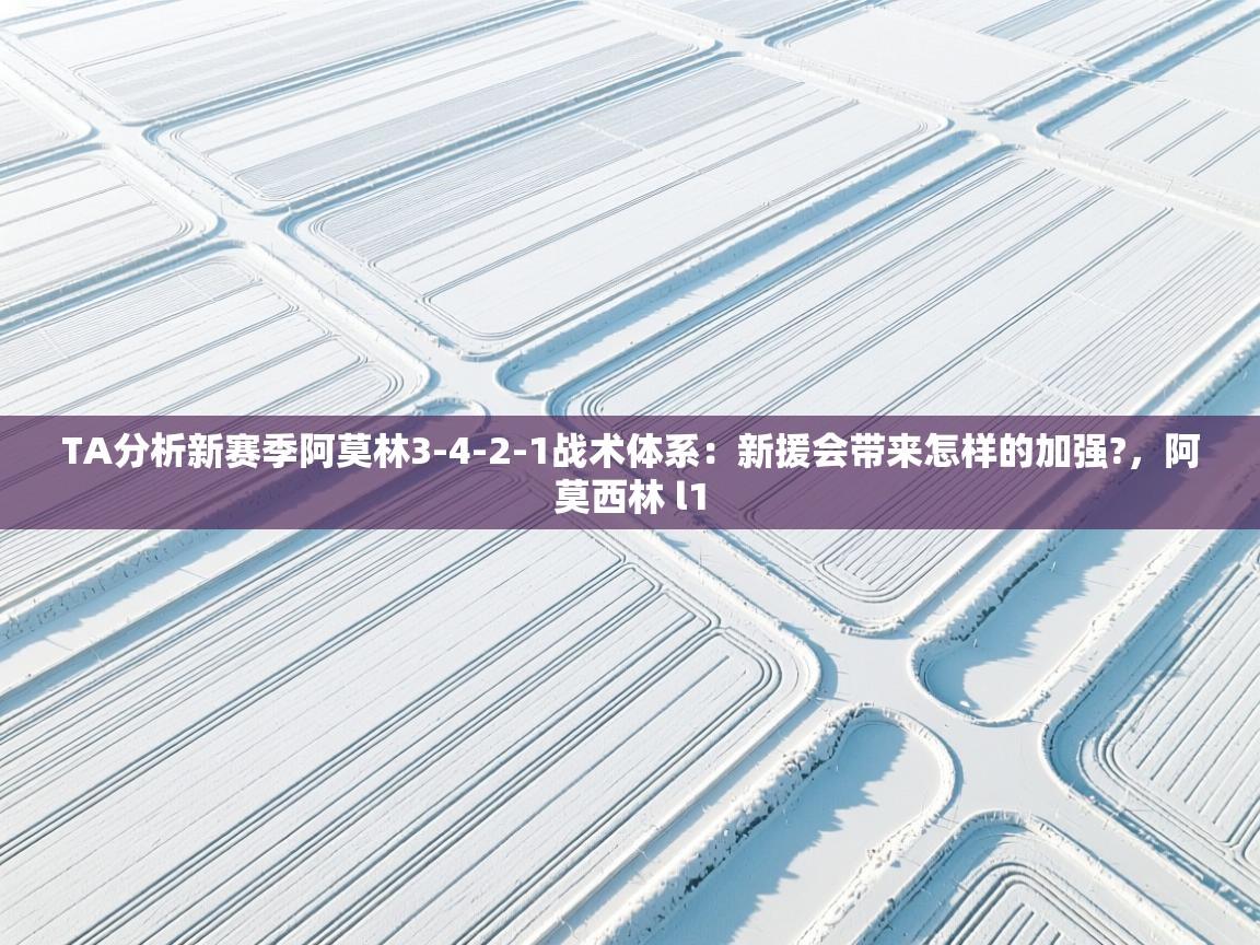 海星体育官网-TA分析新赛季阿莫林3-4-2-1战术体系：新援会带来怎样的加强?，阿莫西林 l1  第3张