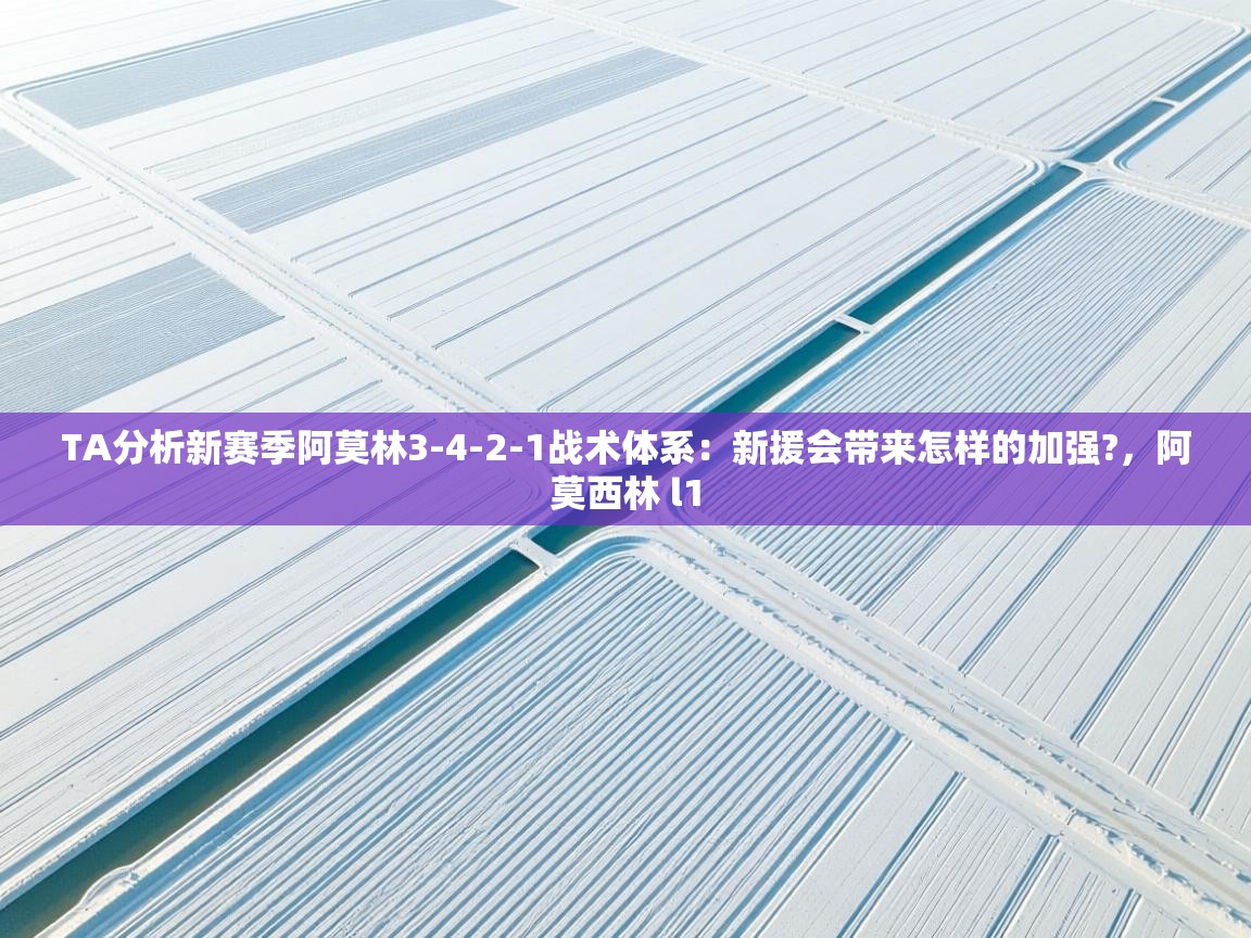 海星体育官网-TA分析新赛季阿莫林3-4-2-1战术体系：新援会带来怎样的加强?，阿莫西林 l1  第4张