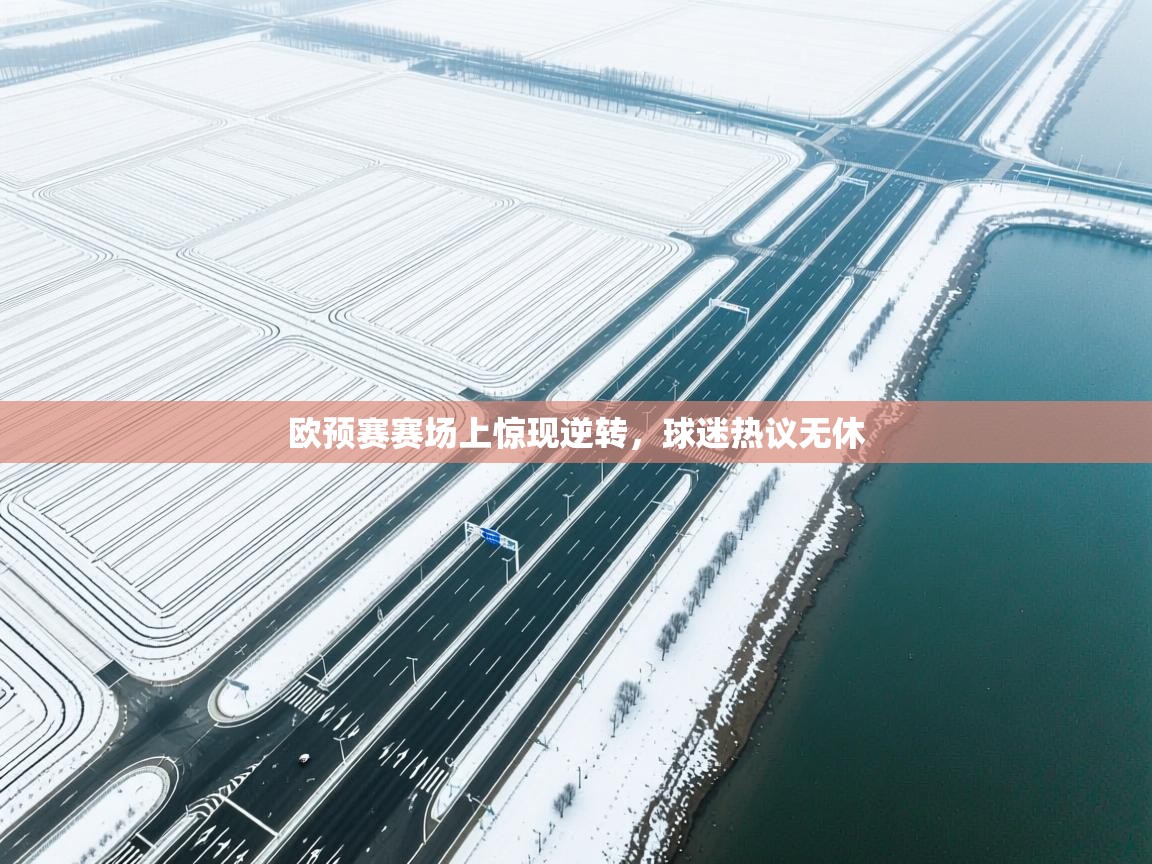 海星体育app下载官网-欧预赛赛场上惊现逆转，球迷热议无休  第3张