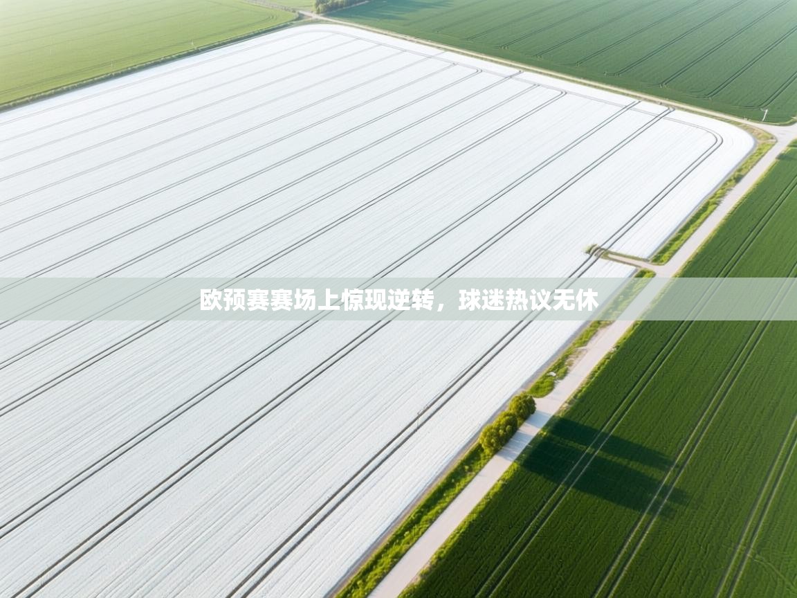 海星体育app下载官网-欧预赛赛场上惊现逆转，球迷热议无休  第4张