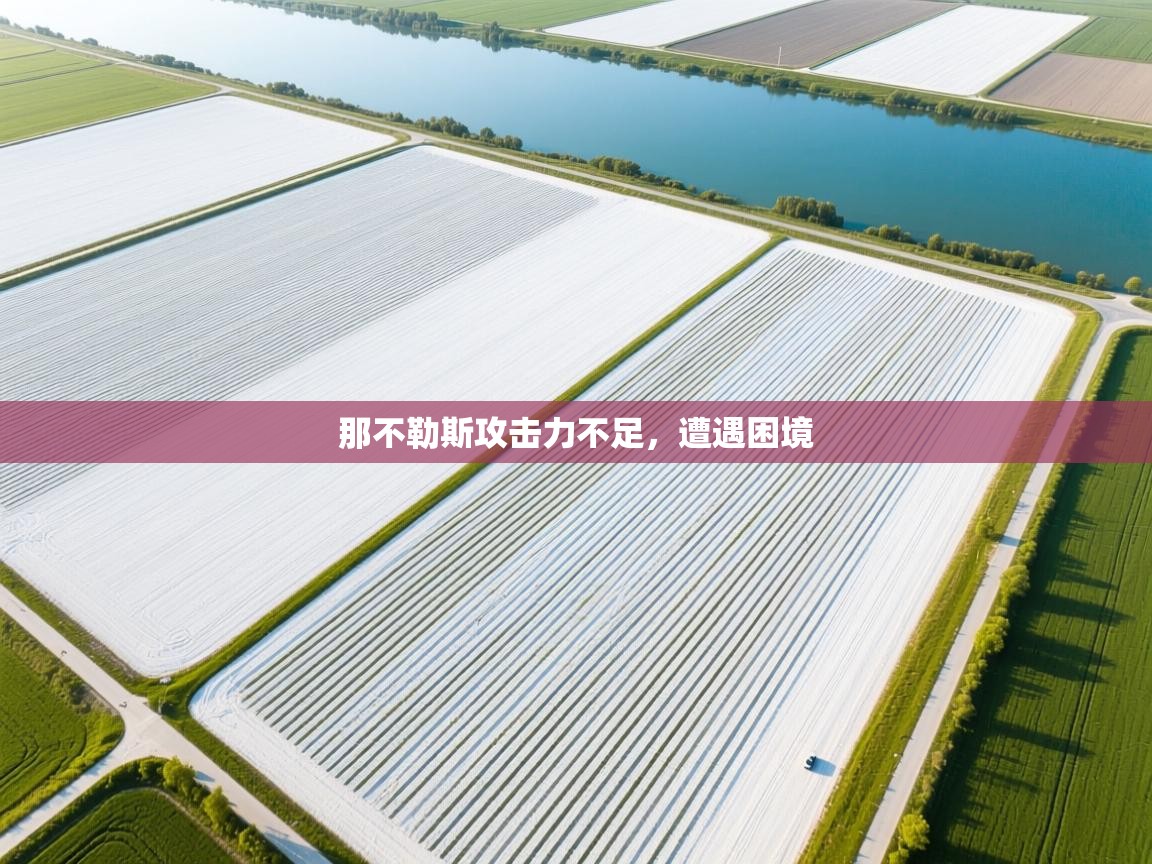 海星体育app安卓-那不勒斯攻击力不足，遭遇困境  第1张