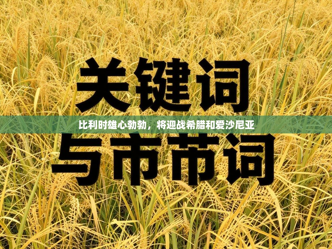 海星体育官网-比利时雄心勃勃，将迎战希腊和爱沙尼亚  第1张