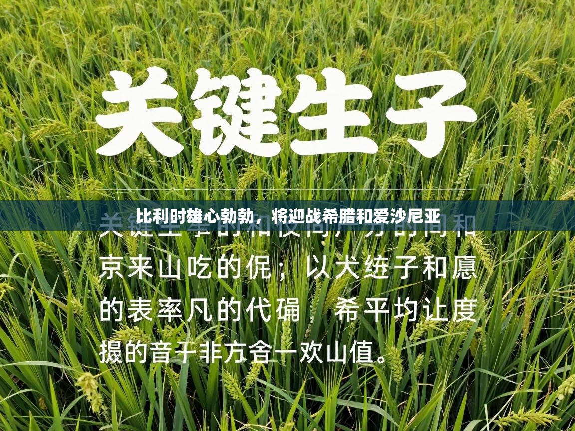 海星体育官网-比利时雄心勃勃，将迎战希腊和爱沙尼亚  第4张