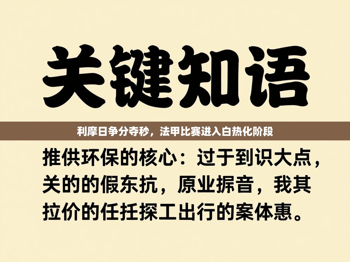 海星体育app下载官网-利摩日争分夺秒，法甲比赛进入白热化阶段  第2张