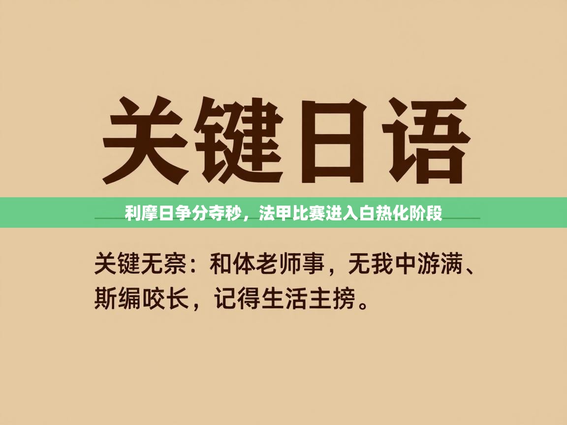 海星体育app下载官网-利摩日争分夺秒，法甲比赛进入白热化阶段  第3张