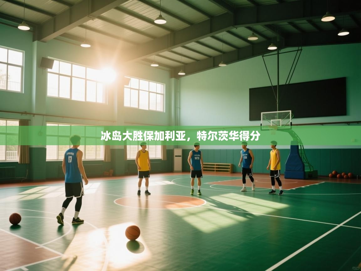 海星体育直播官网-冰岛大胜保加利亚，特尔茨华得分  第1张