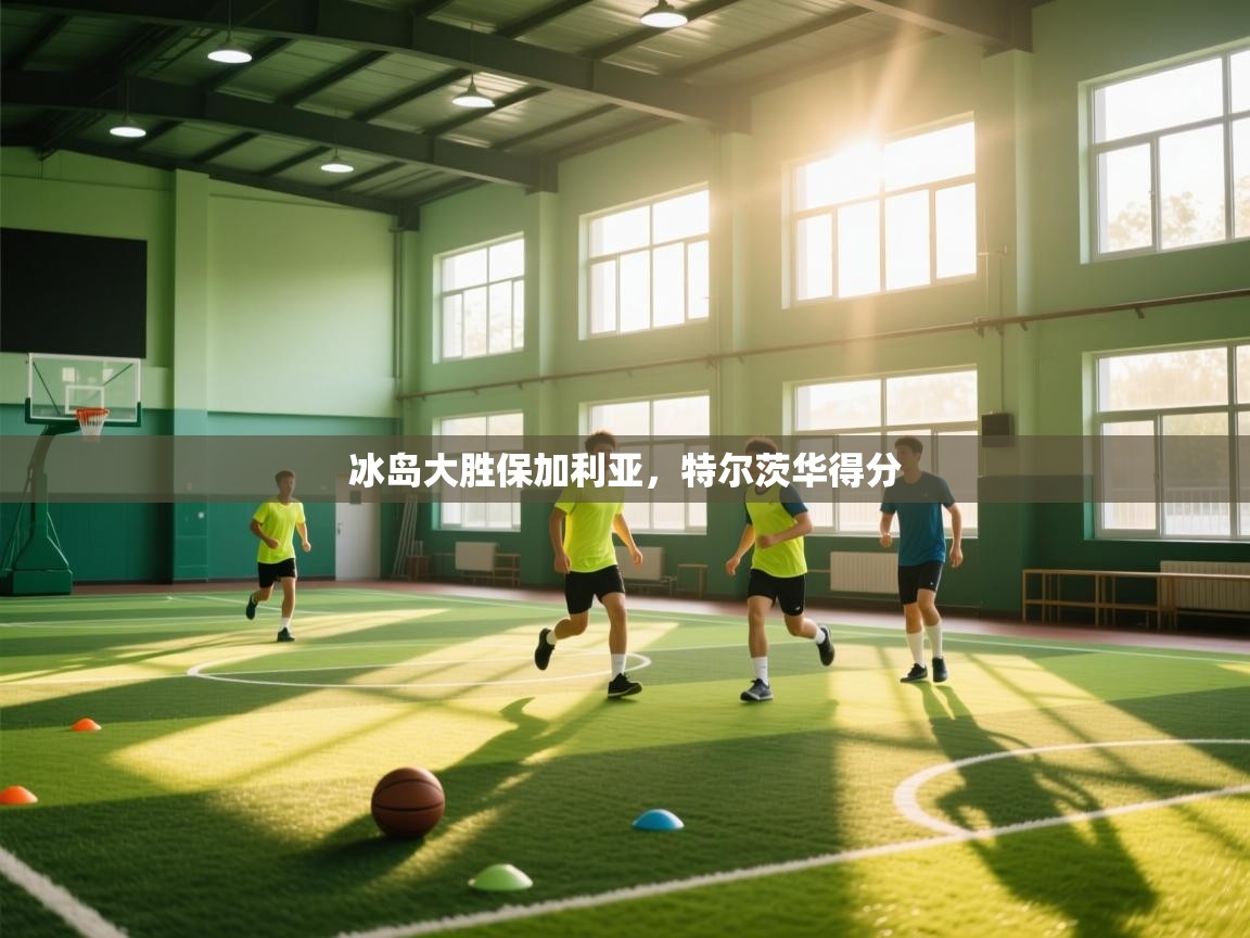 海星体育直播官网-冰岛大胜保加利亚，特尔茨华得分  第2张