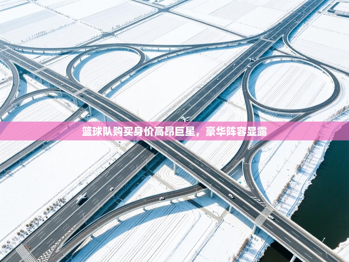 海星体育tv-篮球队购买身价高昂巨星，豪华阵容显露  第3张