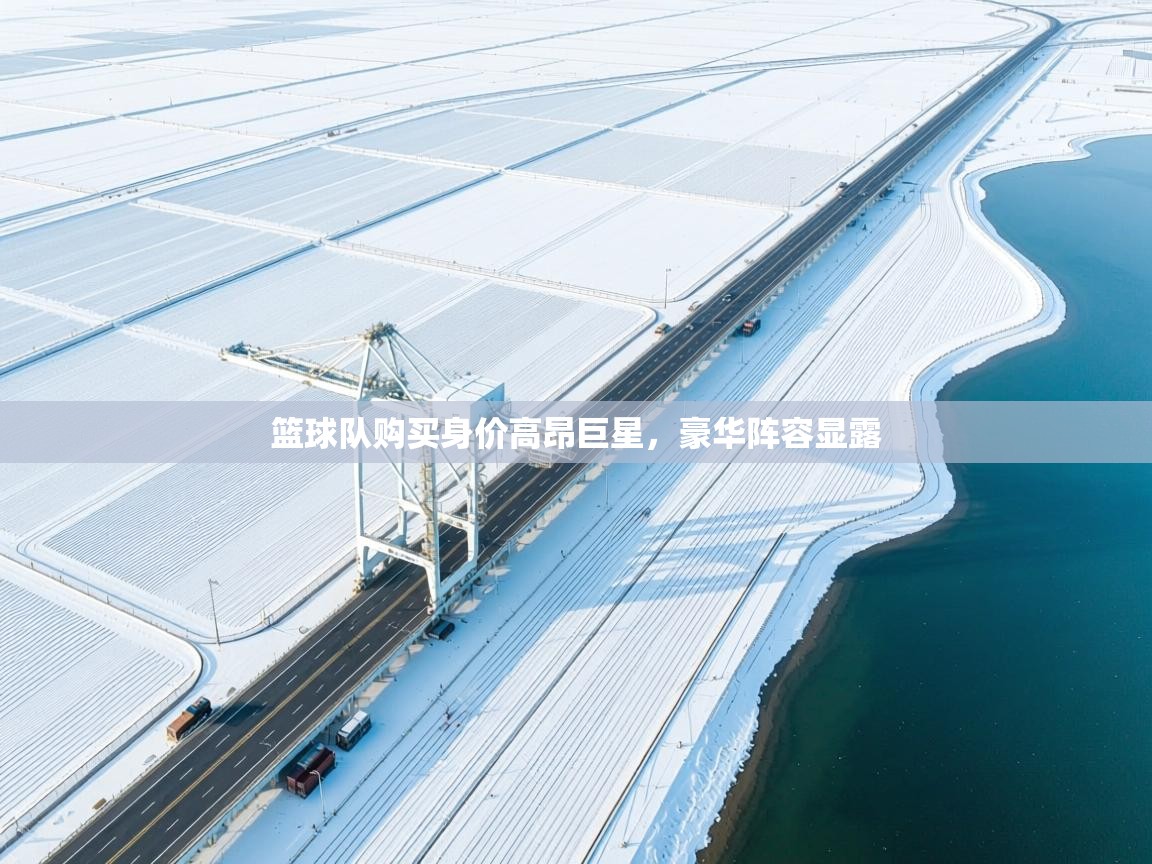 海星体育tv-篮球队购买身价高昂巨星，豪华阵容显露  第4张