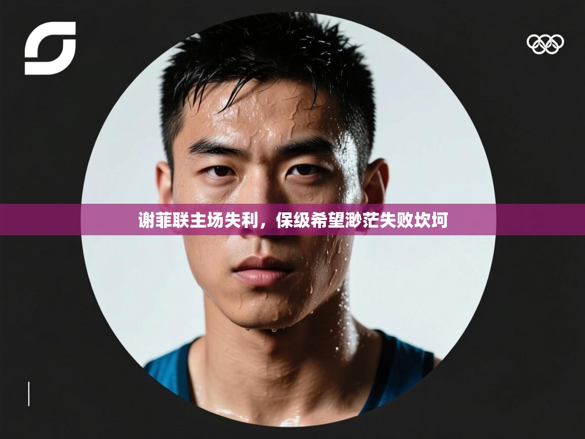 海星体育官方入口-谢菲联主场失利，保级希望渺茫失败坎坷