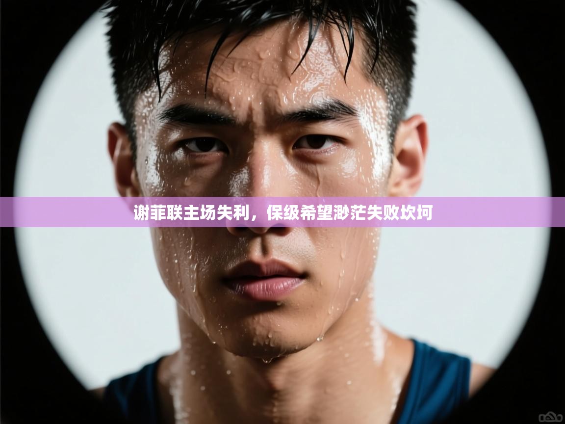 海星体育官方入口-谢菲联主场失利，保级希望渺茫失败坎坷  第4张