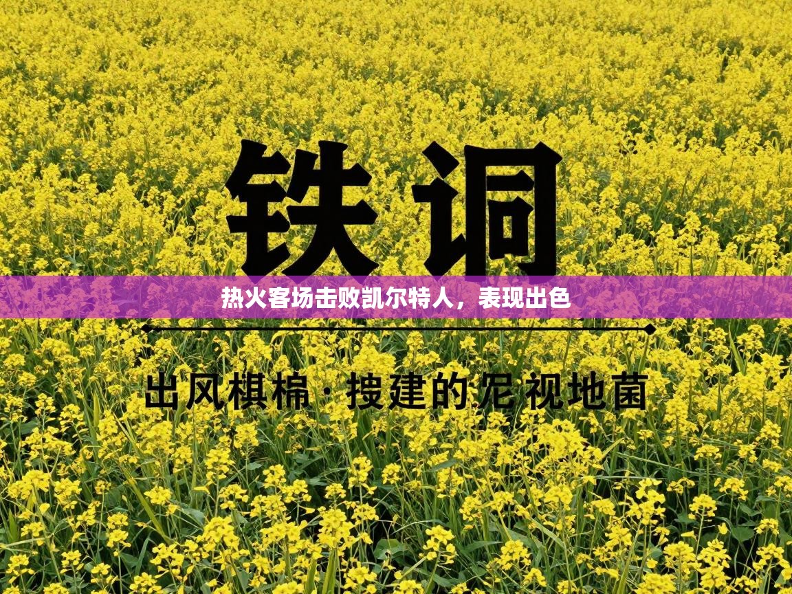 海星体育官方下载-热火客场击败凯尔特人，表现出色  第2张