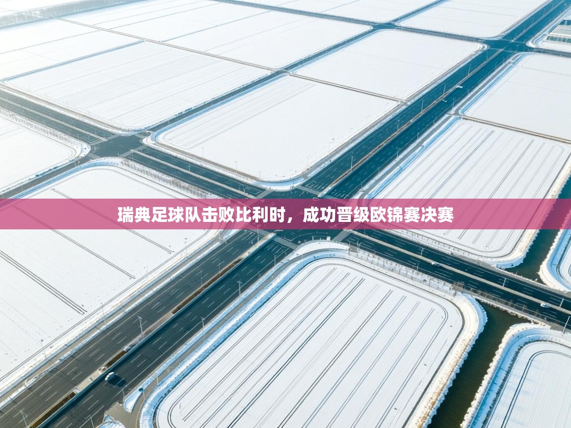 海星体育官方入口-瑞典足球队击败比利时,成功晋级欧锦赛决赛 第2张