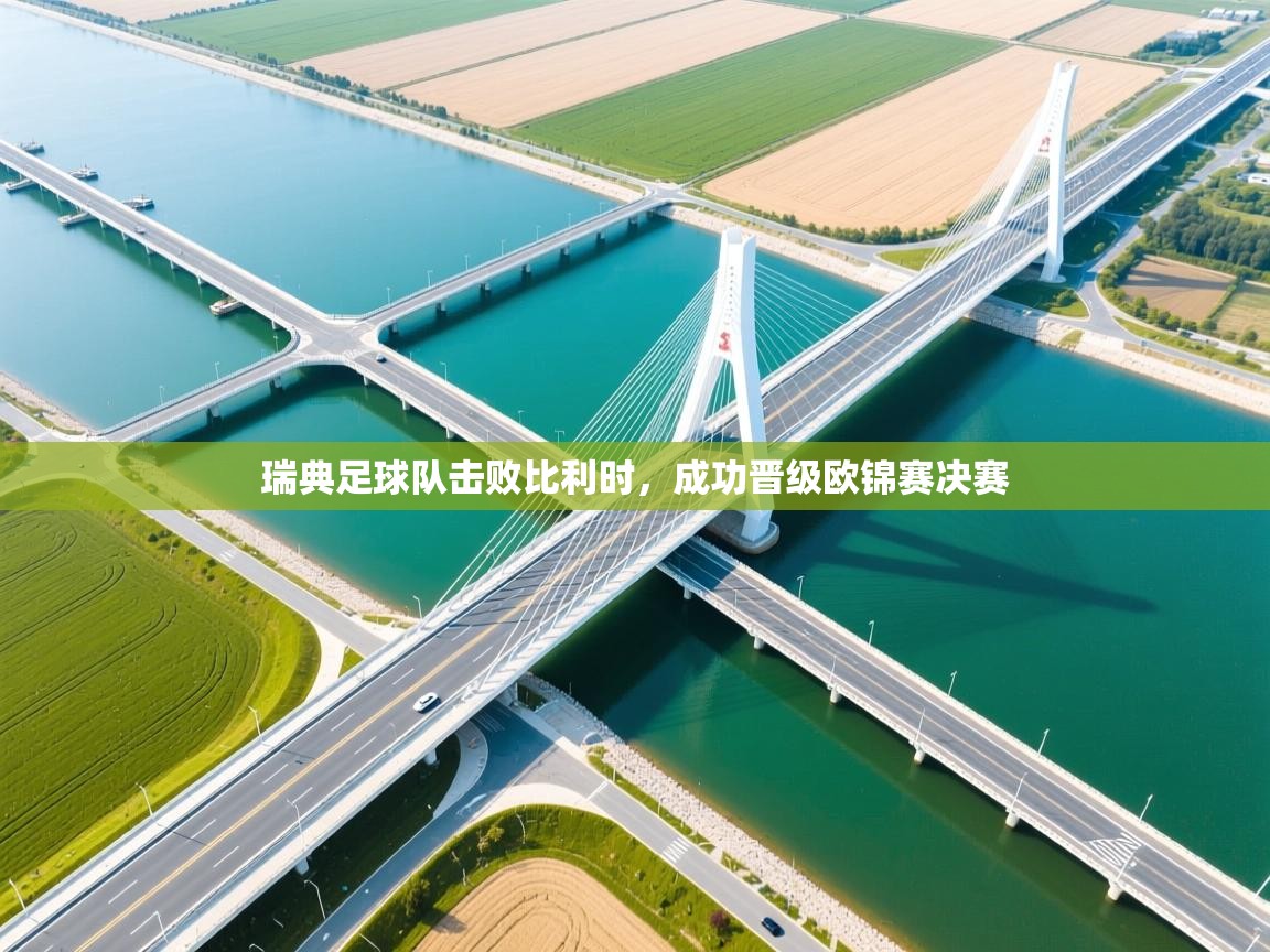 海星体育官方入口-瑞典足球队击败比利时,成功晋级欧锦赛决赛 第3张