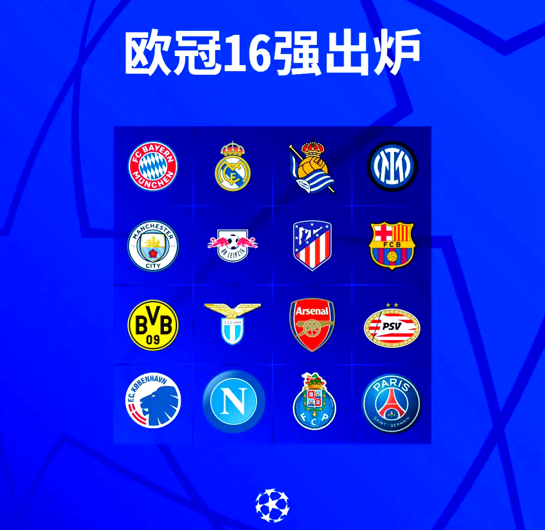 欧洲代表团绽放荣光，破获多面金银！